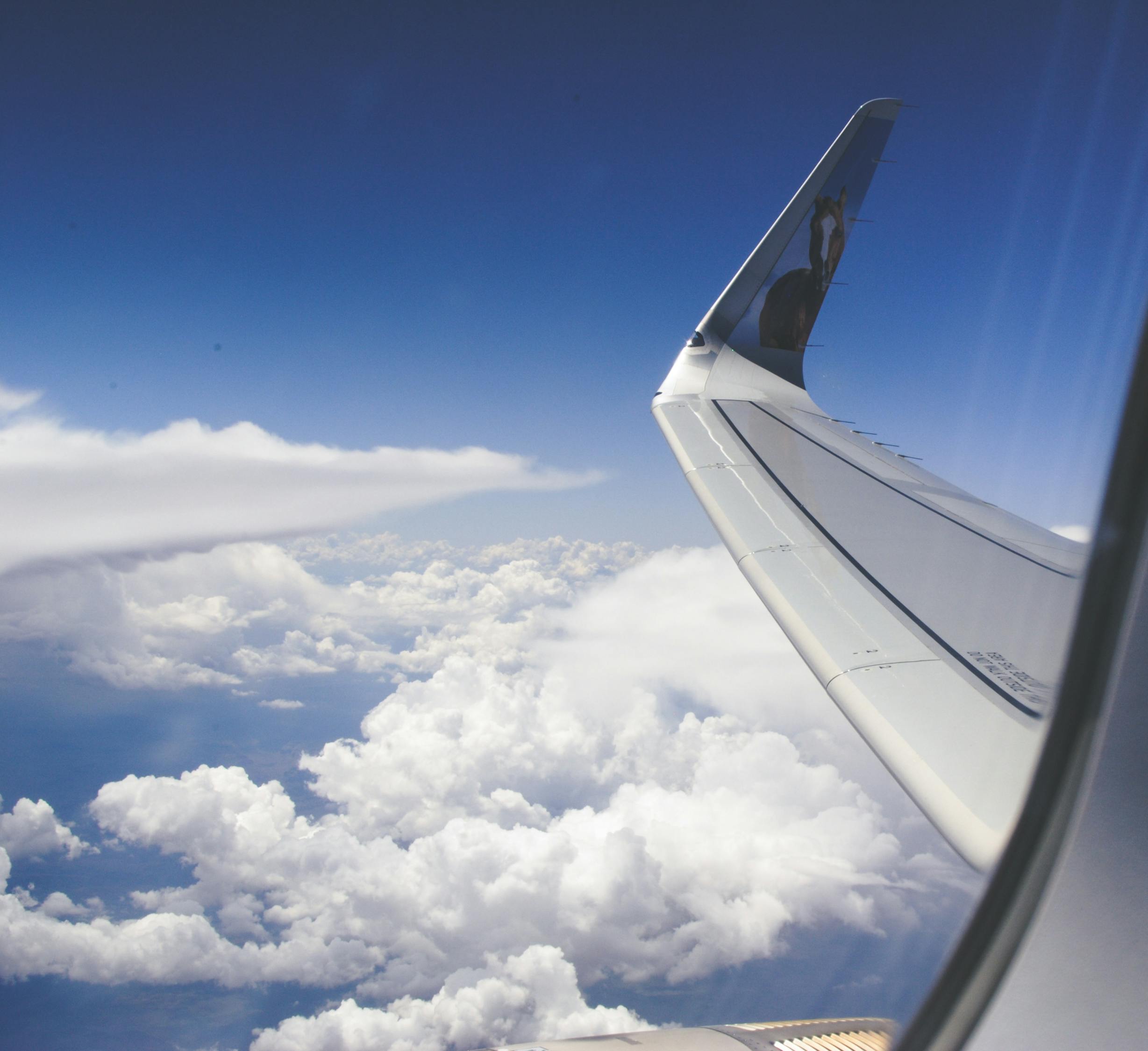 航空公司最新空乘招聘，探寻未来航空业之星