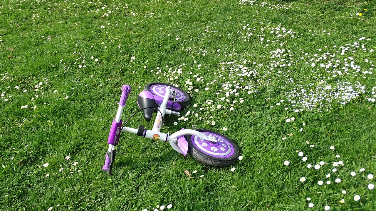 会计证考试最新动态,改革动向、备考指南一网打尽