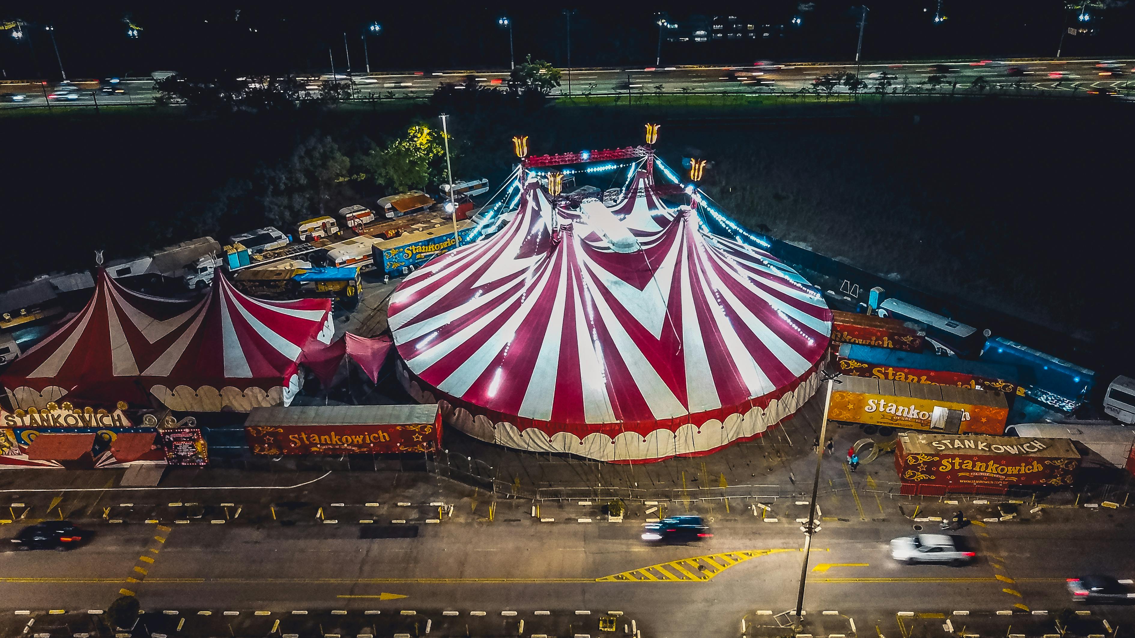 奴庸 第31页