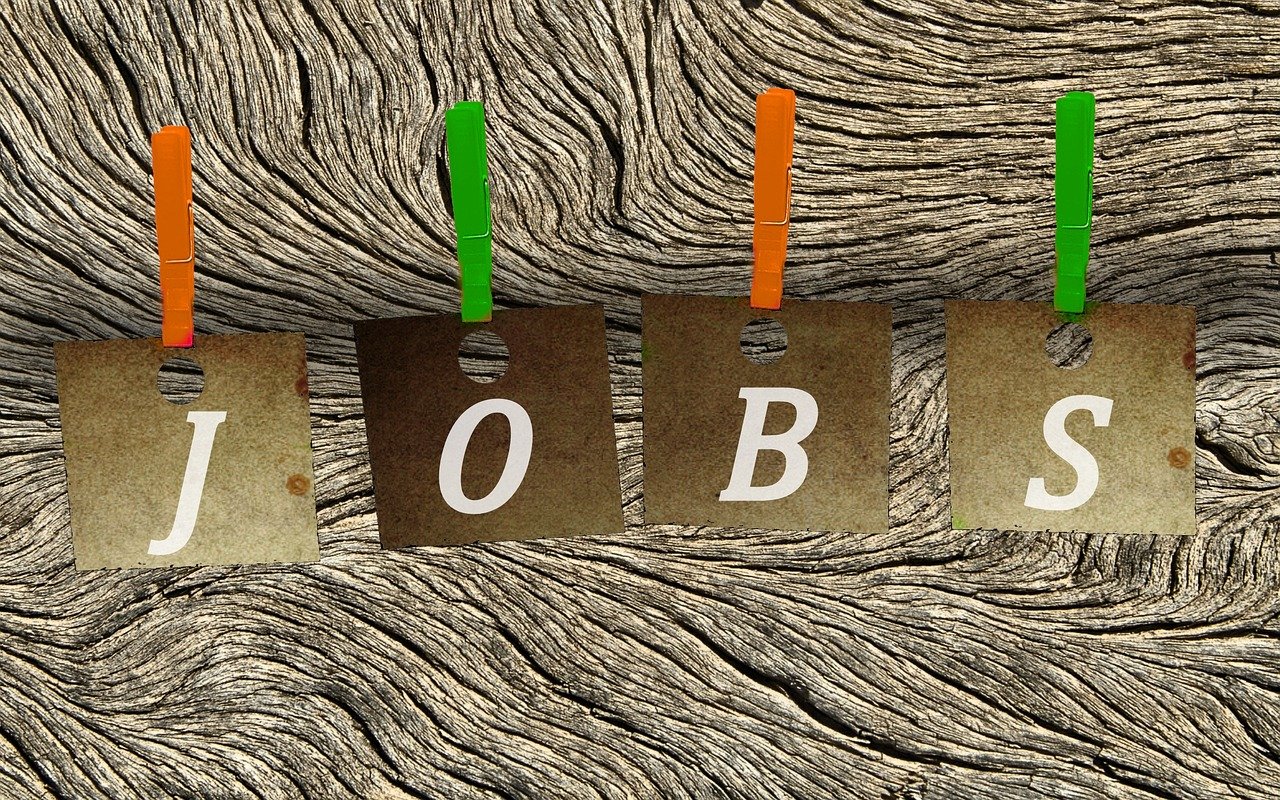 衡水市招聘网最新招聘动态深度解析及职位概览