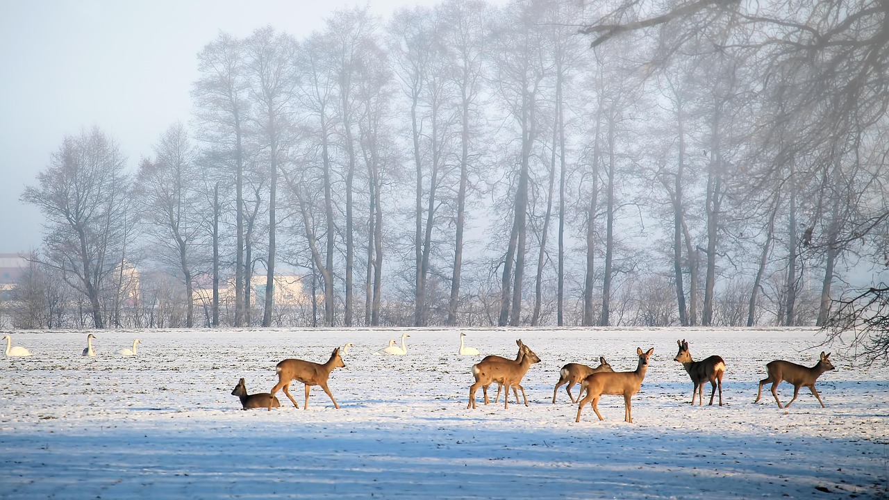 云岩区最新发展动态概览