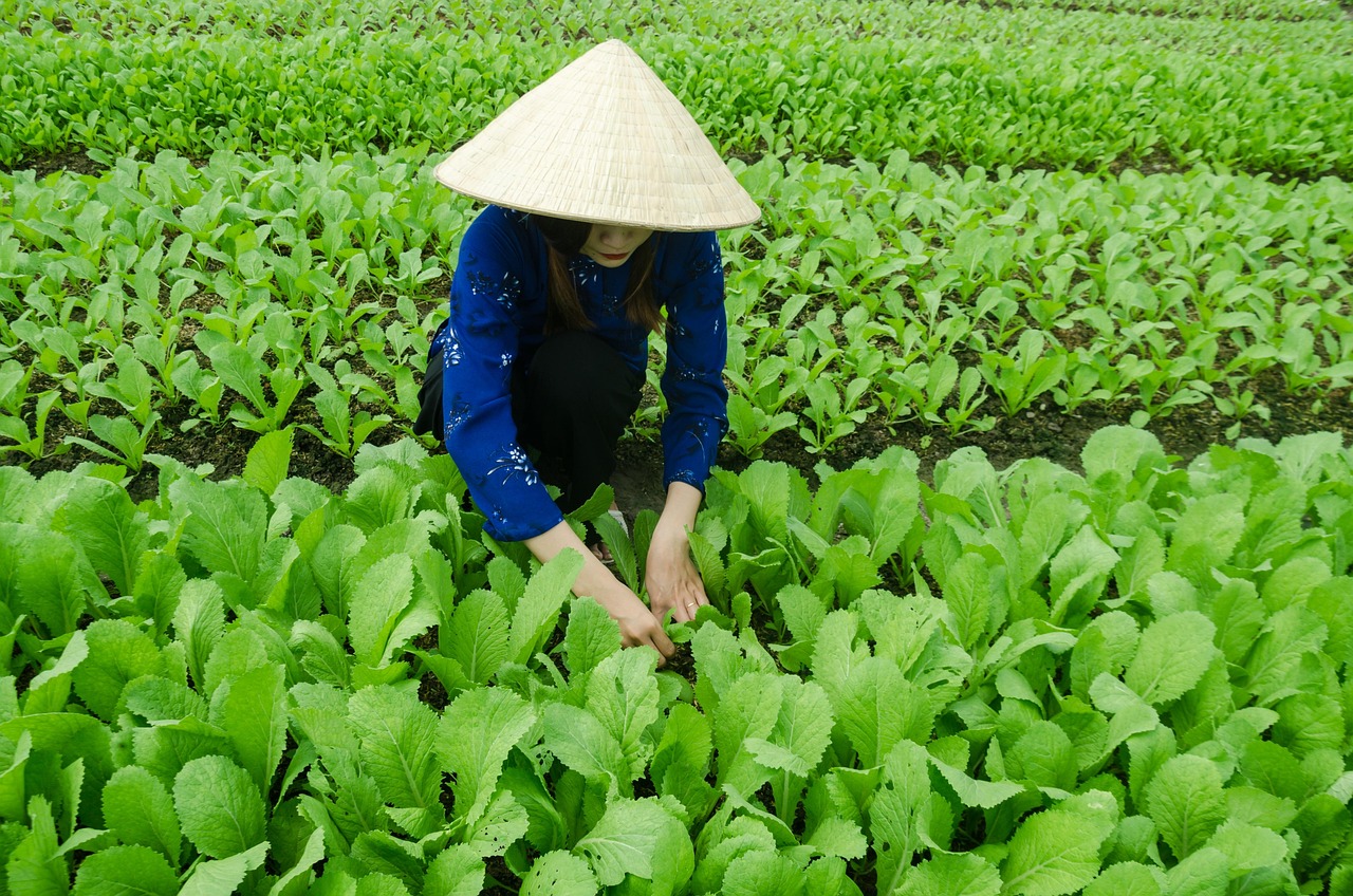 纵横 第7页