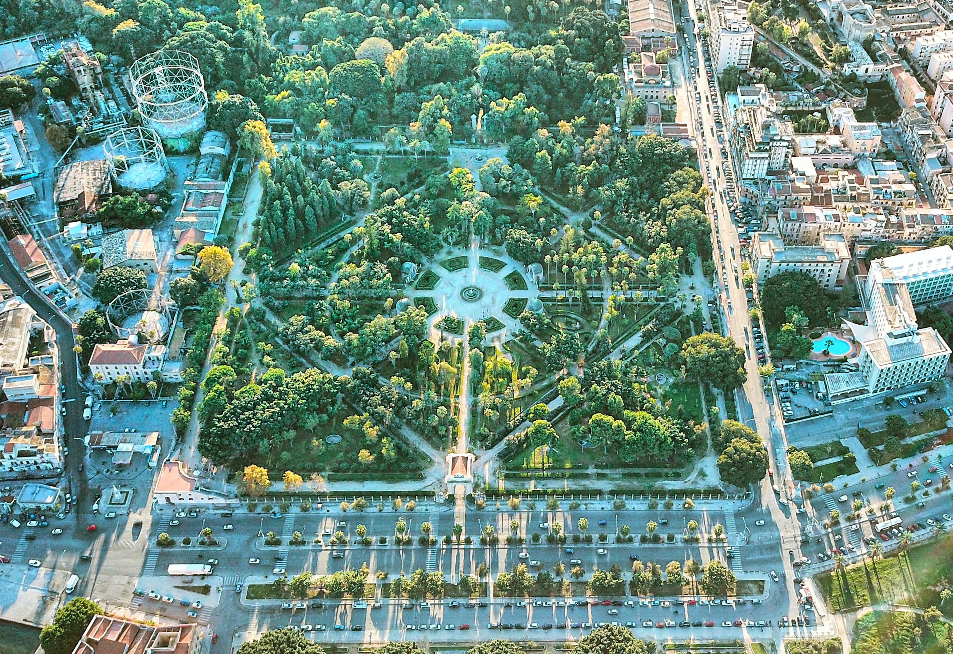 电白疫情最新消息，全面防控，守护家园安宁